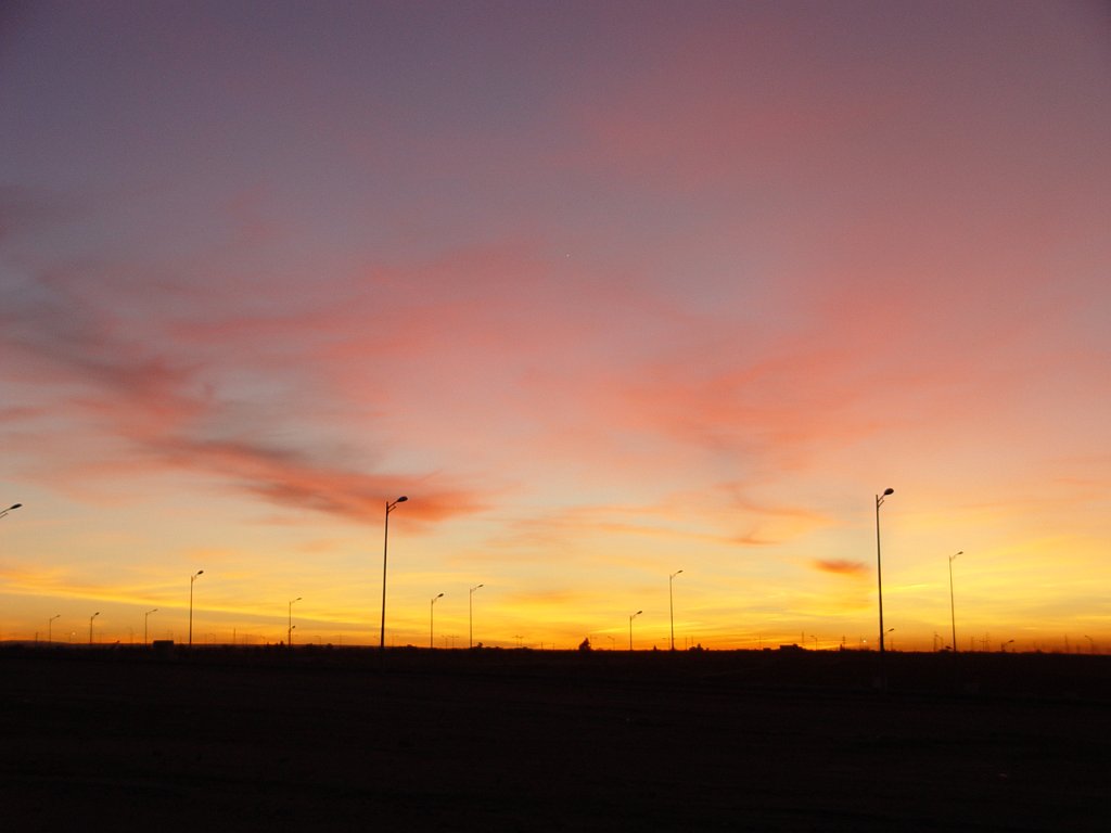DSC07368