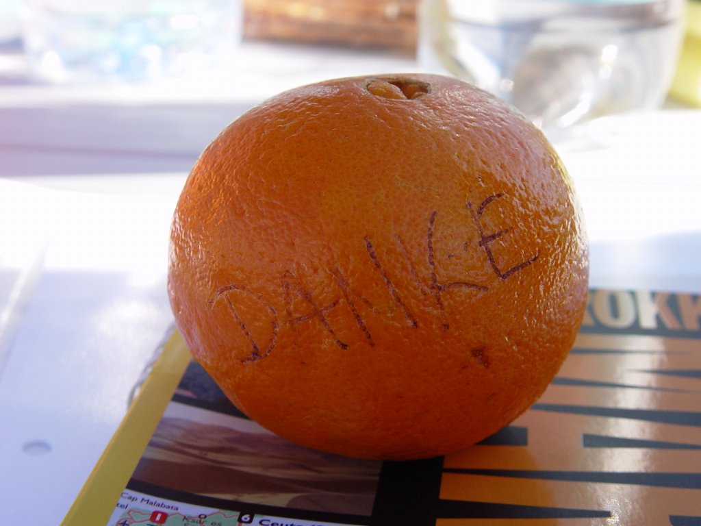DSC07451