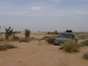 DSC08191